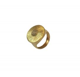 Anel redondo ouro 18k